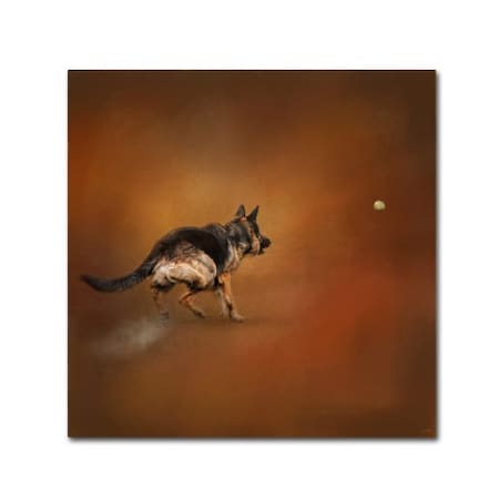 Jai Johnson 'Gimme That Ball German Shepherd' Canvas Art,14x14